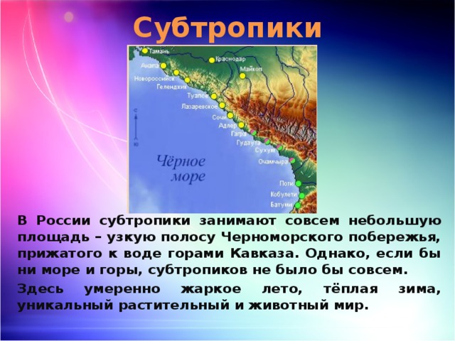 Черноморское побережье кавказа и южный берег крыма. Субтропические леса России на карте Черноморского побережья. Субтропическая зона Кавказского побережья чёрного моря карта. Географическое положение субтропиков в России. Географическое положение субтропиков.