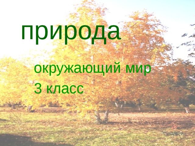 Природа это 3 класс окружающий мир