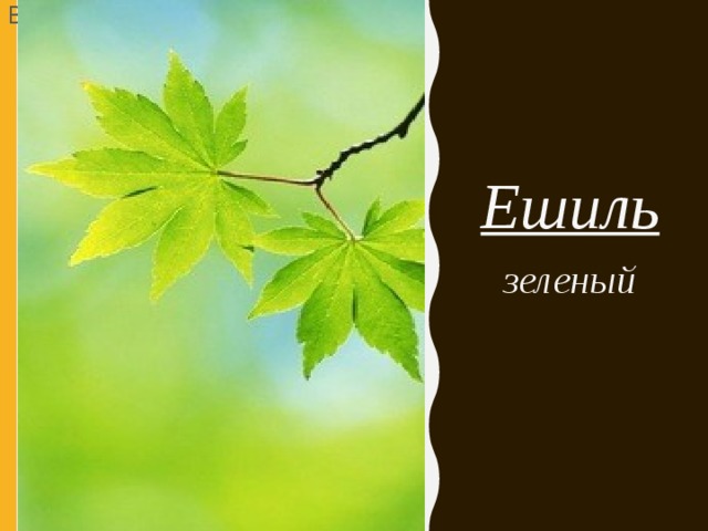 Вставка рисунка Ешиль зеленый 