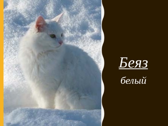 Беяз белый 