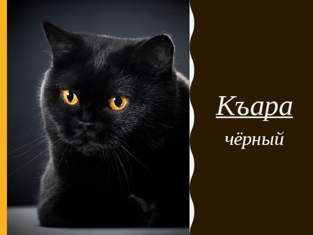Къара чёрный 