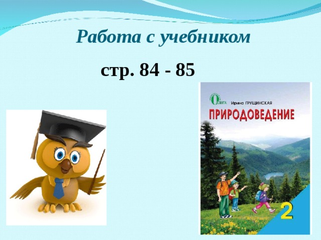 Работа с учебником стр. 84 - 85 
