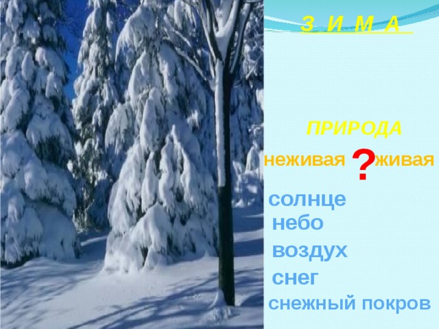  З И М А ПРИРОДА ? живая  неживая солнце небо воздух снег снежный  покров 