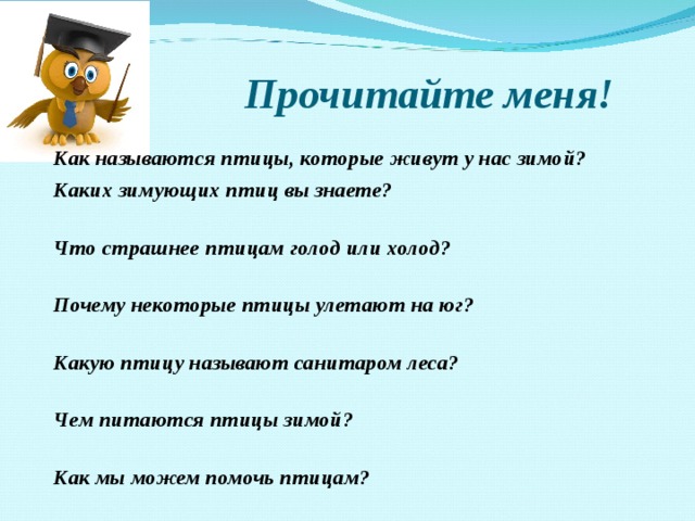  Прочитайте меня! Как называются птицы, которые живут у нас зимой? Каких зимующих птиц вы знаете? Что страшнее птицам голод или холод? Почему некоторые птицы улетают на юг? Какую птицу называют санитаром леса? Чем питаются птицы зимой? Как мы можем помочь птицам?  
