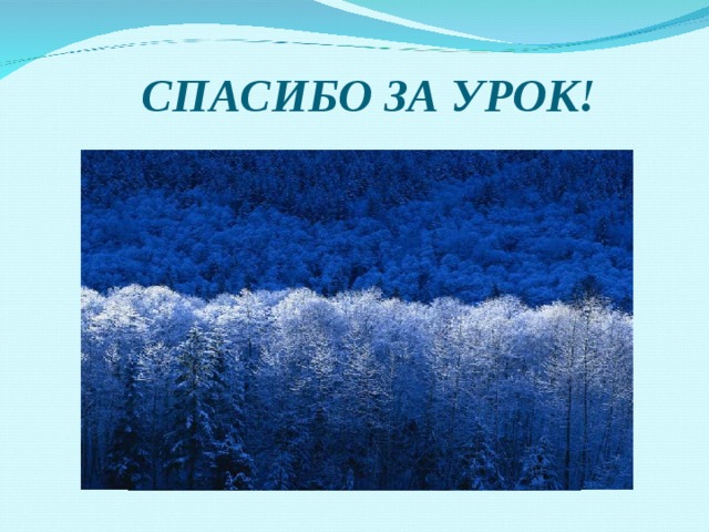 СПАСИБО ЗА УРОК! 