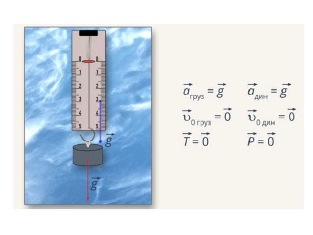 Свободное падение пружины. Опыт с динамометром. Невесомость опыт с динамометром. Вес тела опыт с динамометром. Опыт Невесомость физика.