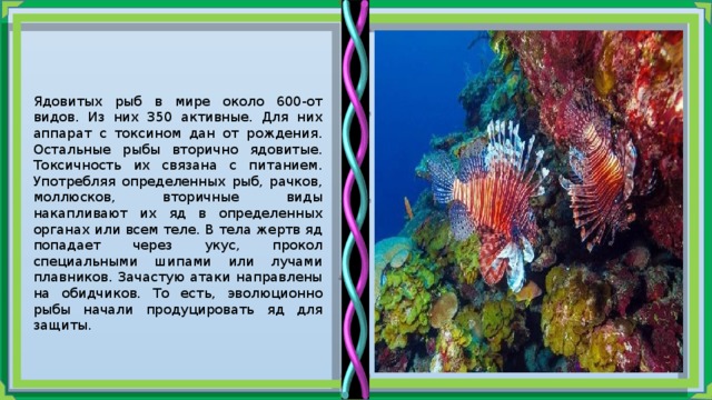 Ядовитых рыб в мире около 600-от видов. Из них 350 активные. Для них аппарат с токсином дан от рождения. Остальные рыбы вторично ядовитые. Токсичность их связана с питанием. Употребляя определенных рыб, рачков, моллюсков, вторичные виды накапливают их яд в определенных органах или всем теле. В тела жертв яд попадает через укус, прокол специальными шипами или лучами плавников. Зачастую атаки направлены на обидчиков. То есть, эволюционно рыбы начали продуцировать яд для защиты. 