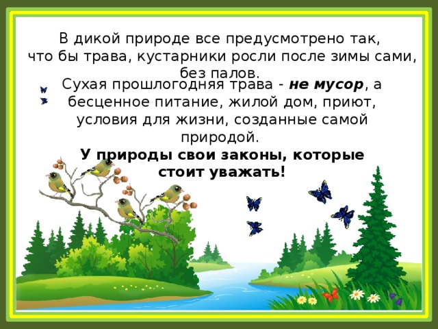 В дикой природе все предусмотрено так, что бы трава, кустарники росли после зимы сами, без палов. Сухая прошлогодняя трава - не мусор , а бесценное питание, жилой дом, приют, условия для жизни, созданные самой природой. У природы свои законы, которые стоит уважать! 