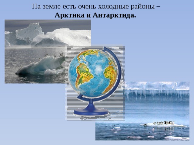 На земле есть очень холодные районы – Арктика и Антарктида.  
