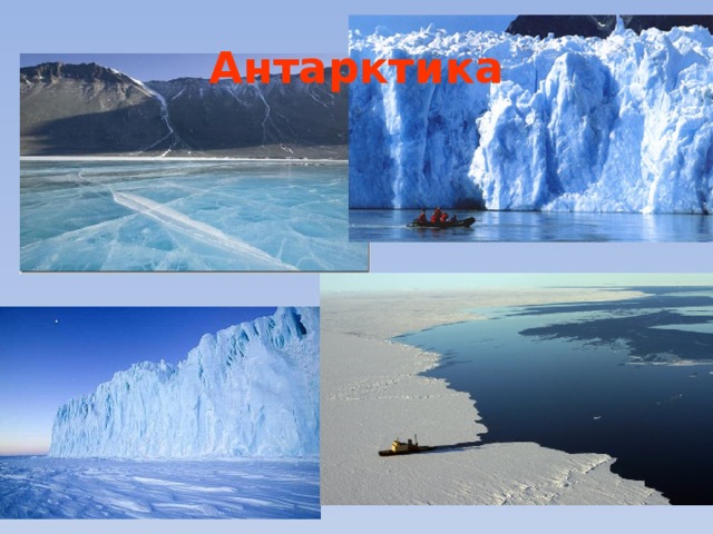 Антарктика 