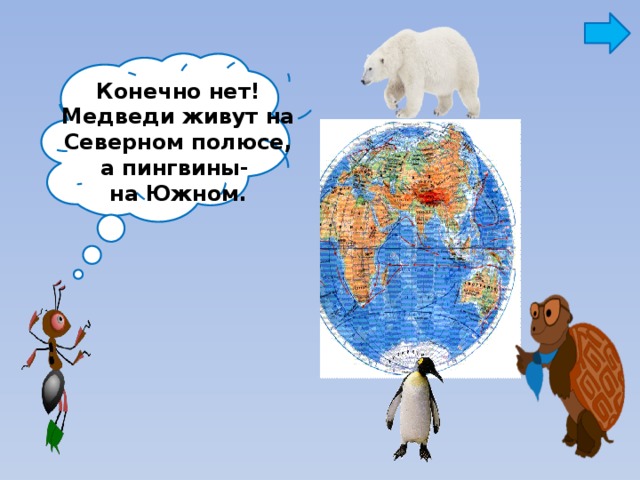 На каком материке проживает. Где живут белые медведи на каком полюсе. Белые медведи где обитают на каком полюсе. Где живут медведи и пингвины. Белые медведи и пингвины живут.