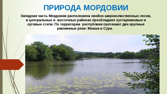 Мордовский заповедник презентация