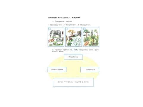 Окружающий мир рабочая тетрадь начало истории человечества. Окружающий мир 3 класс рабочая тетрадь Великий круговорот жизни. Великий круговорот жизни 3 класс задания. Окружающий мир 3 класс рабочая тетрадь тема Великий круговорот жизни. Третий класс рабочая тетрадь окружающий мир Великий круговорот жизни.