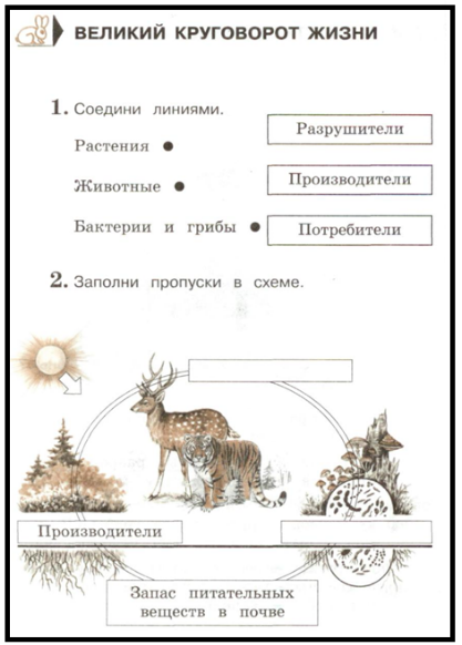 Дополни схему условия жизни животных