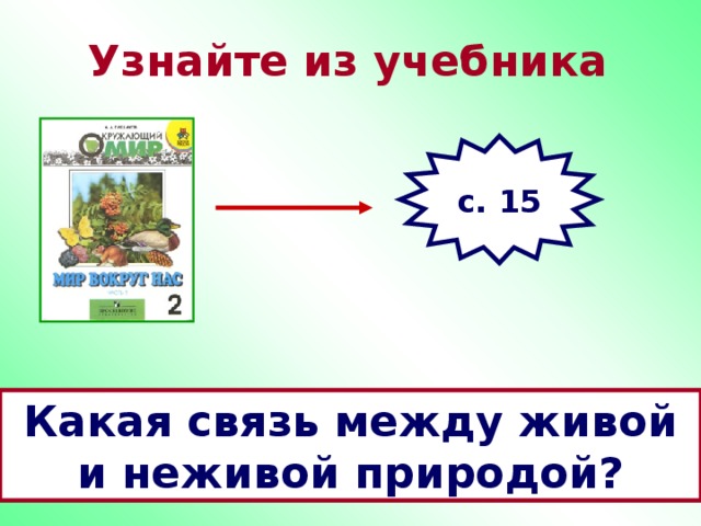 Схема связь живой и неживой природы