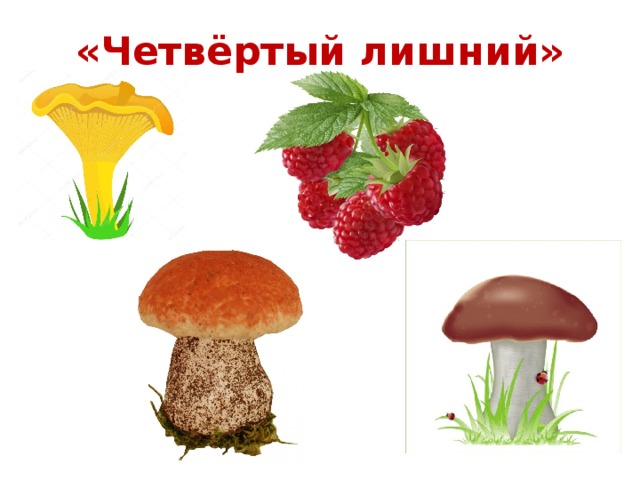 Грибы растения животные что лишнее. Игра четвертый лишний грибы. Четвертый лишний грибы ягоды. Найди лишний гриб. Четвертый лишний на тему ягоды.