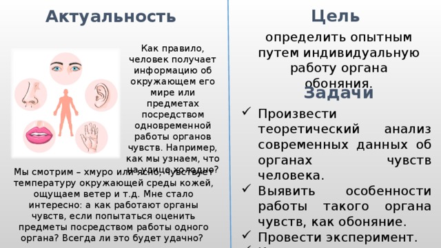 Исследовательский проект органы чувств 3 класс