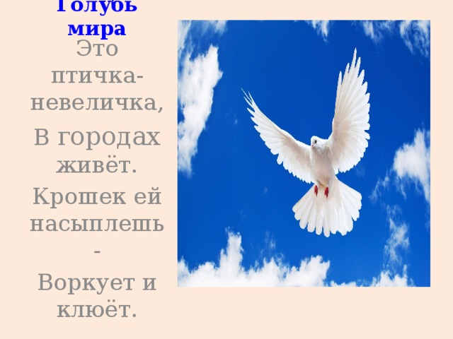 Голубь мира Это птичка-невеличка, В городах живёт. Крошек ей насыплешь- Воркует и клюёт. 