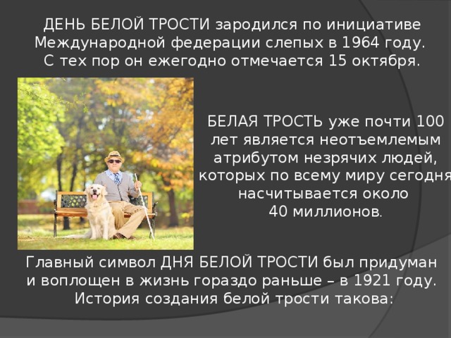 Презентация про слепых