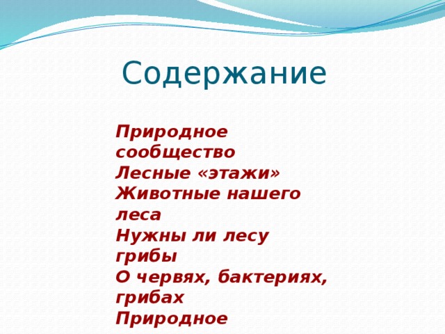 Содержание Природное сообщество Лесные «этажи» Животные нашего леса Нужны ли лесу грибы О червях, бактериях, грибах Природное равновесие 