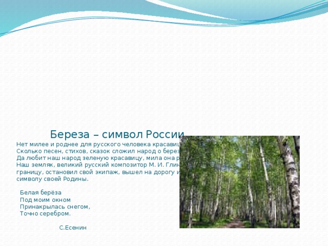           Береза – символ России  Нет милее и роднее для русского человека красавицы-березы.  Сколько песен, стихов, сказок сложил народ о березе.  Да любит наш народ зеленую красавицу, мила она русскому человеку.  Наш земляк, великий русский композитор М. И. Глинка, возвращаясь на Родину, переехав границу, остановил свой экипаж, вышел на дорогу и низко поклонился белой березке, как символу своей Родины.   Белая берёза  Под моим окном  Принакрылась снегом,  Точно серебром.   С.Есенин 