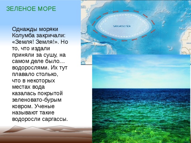 Проект разноцветные моря 1 класс