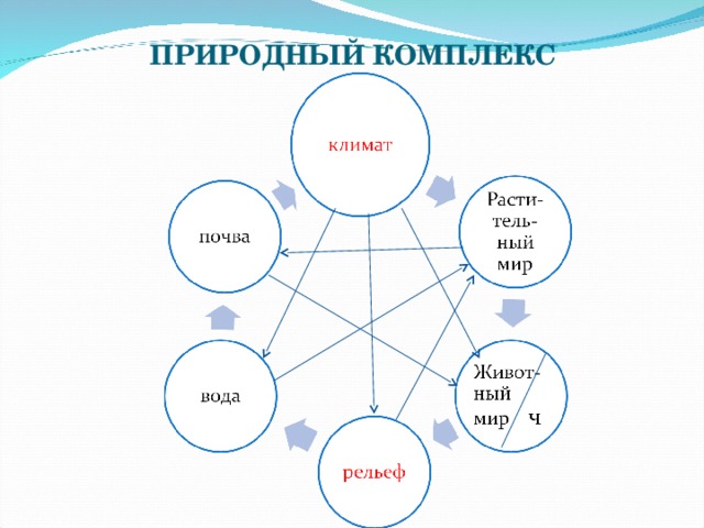 Рисунок природного комплекса по географии 6 класс