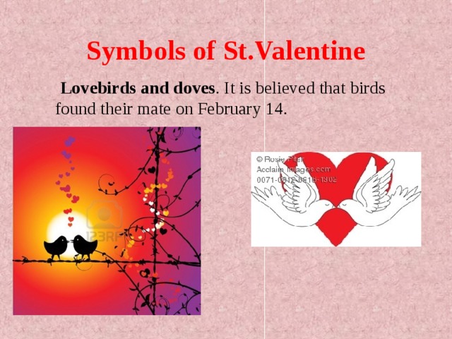 Symbols of St.Valentine  Lovebirds and doves . It is believed that birds found their mate on February 14.  