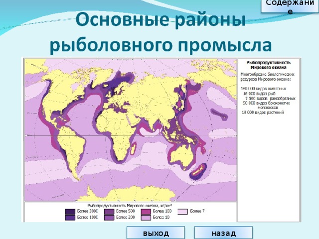 Жизнь в океане основные районы рыболовства