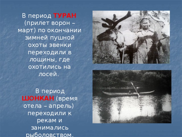  В период ТУРАН (прилет ворон – март) по окончании зимней пушной охоты эвенки переходили в лощины, где охотились на лосей.  В период ШОНКАН (время отела – апрель) переходили к рекам и занимались рыболовством, ставя на реках заездки. 