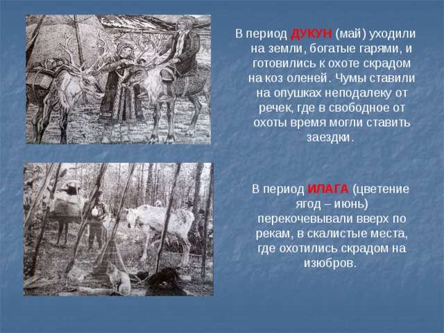  В период ДУКУН (май) уходили на земли, богатые гарями, и готовились к охоте скрадом на коз оленей. Чумы ставили на опушках неподалеку от речек, где в свободное от охоты время могли ставить заездки.  В период ИЛАГА (цветение ягод – июнь) перекочевывали вверх по рекам, в скалистые места, где охотились скрадом на изюбров. 