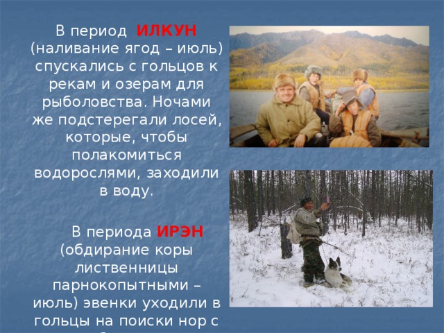  В период ИЛКУН (наливание ягод – июль) спускались с гольцов к рекам и озерам для рыболовства. Ночами же подстерегали лосей, которые, чтобы полакомиться водорослями, заходили в воду.  В периода ИРЭН (обдирание коры лиственницы парнокопытными – июль) эвенки уходили в гольцы на поиски нор с тарбаганами. 