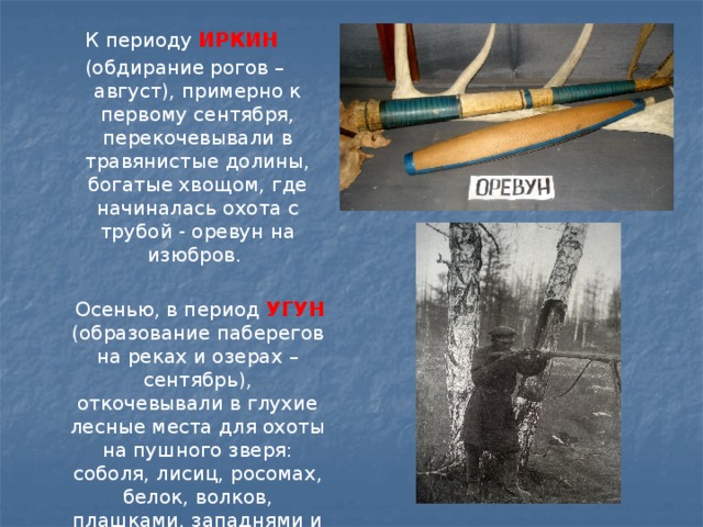 К периоду ИРКИН  (обдирание рогов – август), примерно к первому сентября, перекочевывали в травянистые долины, богатые хвощом, где начиналась охота с трубой - оревун на изюбров.  Осенью, в период УГУН  (образование паберегов на реках и озерах – сентябрь), откочевывали в глухие лесные места для охоты на пушного зверя: соболя, лисиц, росомах, белок, волков, плашками, западнями и кулемками. 