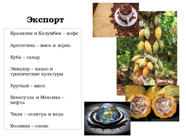 Экспорт  Бразилия и Колумбия – кофе  Аргентина – мясо и зерно  Куба – сахар  Эквадор – какао и тропические культуры  Уругвай – мясо  Венесуэла и Мексика – нефть  Чили – селитра и медь  Боливия – олово 