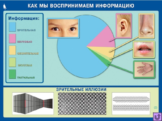 5 психологических исследований по восприятию визуальной информации