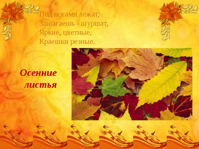 Под ногами лежат,  Зашагаешь - шуршат,  Яркие, цветные,  Краешки резные.   Осенние листья 