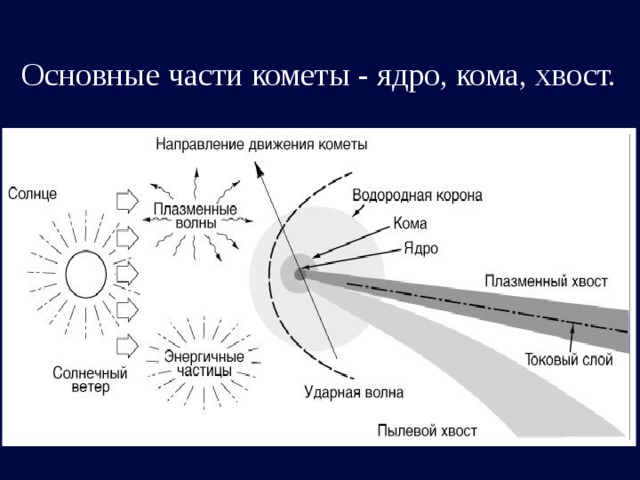 Как направлен хвост кометы при движении вокруг солнца рисунок