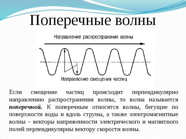 Поперечные волны Если смещение частиц происходит перпендикулярно направлению распространения волны, то волна называется поперечной. К поперечным относятся волны, бегущие по поверхности воды и вдоль струны, а также электромагнитные волны – векторы напряженности электрического и магнитного полей перпендикулярны вектору скорости волны. 