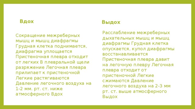 Вдох Выдох Сокращение межреберных мышц и мышц диафрагмы Грудная клетка поднимается, диафрагма уплощается Пристеночная плевра отходит от легких В плевральной щели разряжение Легочная плевра прилипает к пристеночной Легкие растягиваются Давление легочного воздуха на 1-2 мм. рт. ст. ниже атмосферного Вдох Расслабление межреберных дыхательных мышц и мышц диафрагмы Грудная клетка опускается, купол диафрагмы восстанавливается Пристеночная плевра давит на легочную плевру Легочная плевра отходит от пристеночной Легкие сжимаются Давление легочного воздуха на 2-3 мм рт. ст. выше атмосферного Выдох 