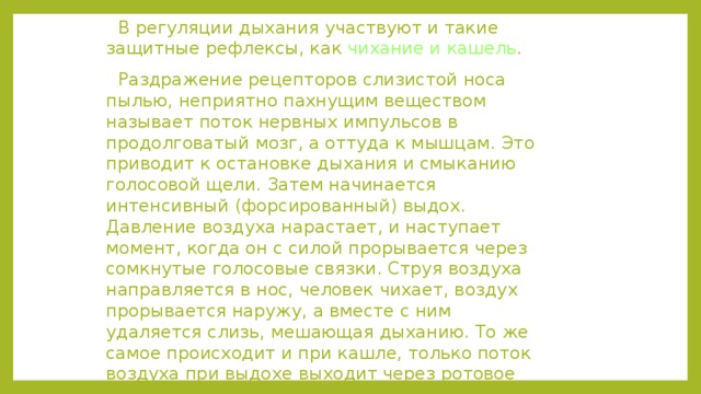 Чихание происходит при раздражении стенок