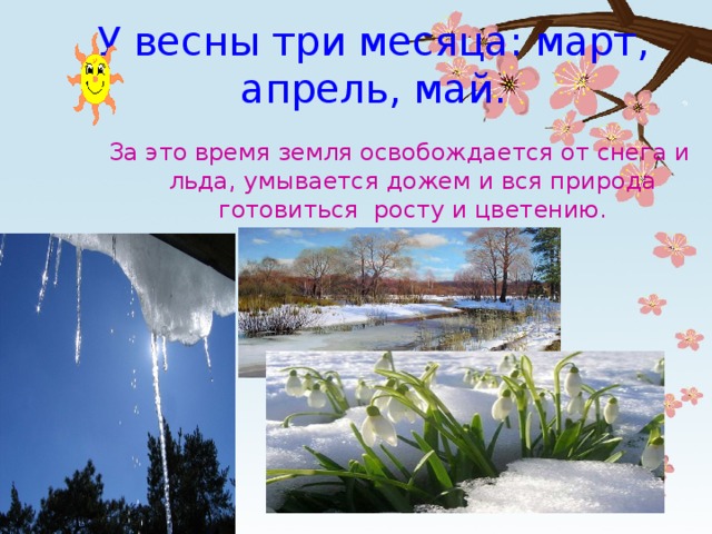 У весны три месяца: март, апрель, май. За это время земля освобождается от снега и льда, умывается дожем и вся природа готовиться росту и цветению. 