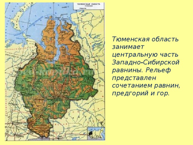 Западно сибирская равнина рельеф