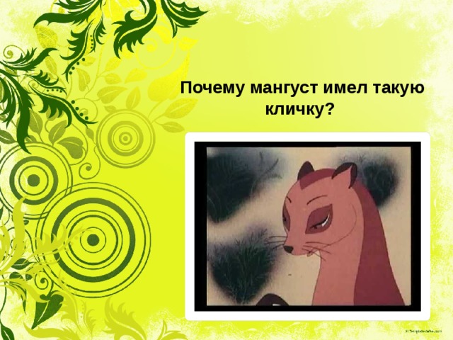 Почему мангуст имел такую кличку? 