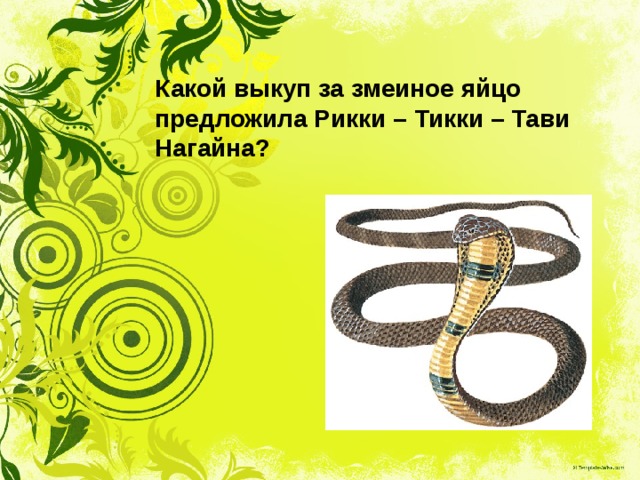 Какой выкуп за змеиное яйцо предложила Рикки – Тикки – Тави Нагайна? 