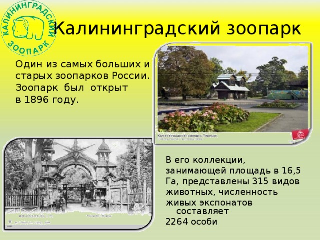   Калининградский зоопарк   Один из самых больших и старых зоопарков России. Зоопарк был открыт в 1896 году. В его коллекции, занимающей площадь в 16,5 Га, представлены 315 видов животных, численность живых экспонатов составляет 2264 особи 