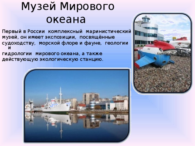  Музей Мирового океана   Первый в России комплексный маринистический музей, он имеет экспозиции, посвящённые судоходству, морской флоре и фауне, геологии и гидрологии мирового океана, а также действующую экологическую станцию. 