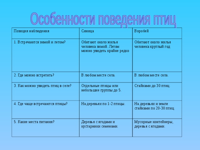План наблюдения за птицами