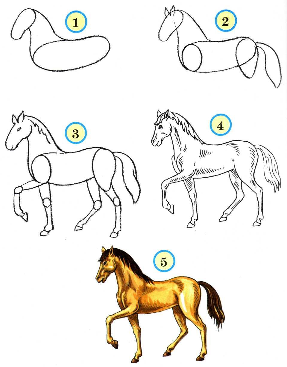 Рисунок животного 5 класс