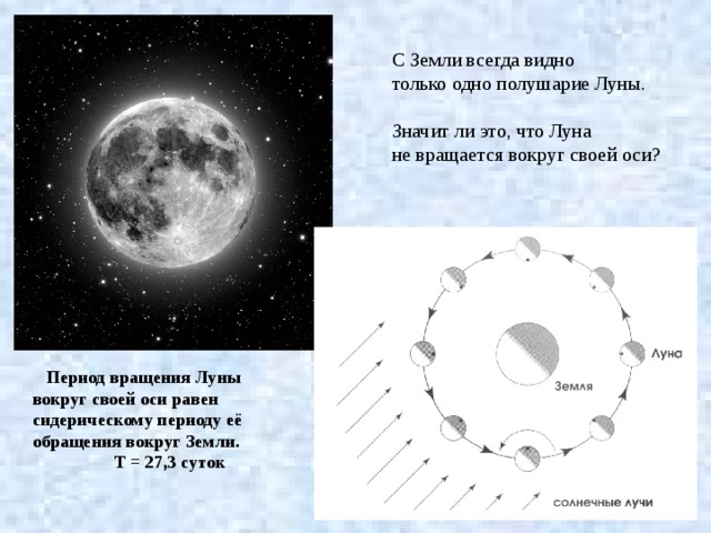 С Земли всегда видно только одно полушарие Луны. Значит ли это, что Луна не вращается вокруг своей оси? Период вращения Луны вокруг своей оси равен сидерическому периоду её обращения вокруг Земли. Т = 27,3 суток 