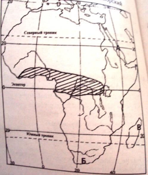 Древняя индия на карте заштриховать. Какой Тип климата обозначен на карте штриховкой Африка. Проверочная работа по зонам Африка 7. Проверочная работа по Африке 19 век. Какой Тип климата обозначен на карте штриховкой Африка 4 вариант.